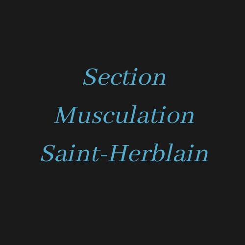 Section Musculation Saint-Herblain