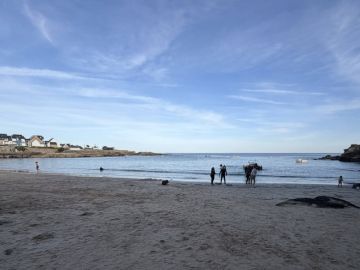 [Vie des clubs - ASAL Plongée Lorient]

🤿​ Découvrez les coulisses de la préparation de plongée Niveau 1 par la section plongée de l' ASAL Lorient ! 

🐠​ De...