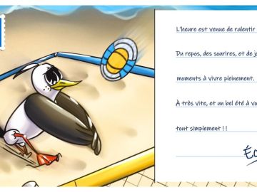 [Vie de la Ligue - Fermeture estivale] 

La Ligue Ouest FCD vous souhaite de très bonnes vacances, reposantes mais remplies de belles expériences pour nous...