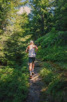 Trail des Eoliennes - Hambers