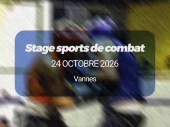 Stage sports de combat Vannes